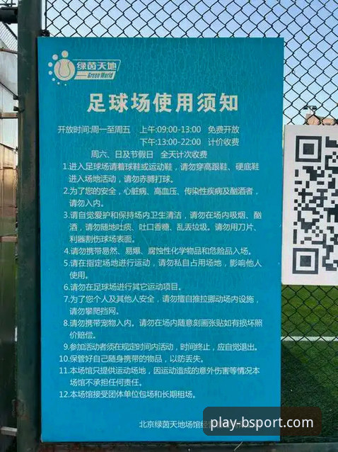 BSport体育官方下载地址 获取BSport体育官方下载地址的实用指南与深度解析