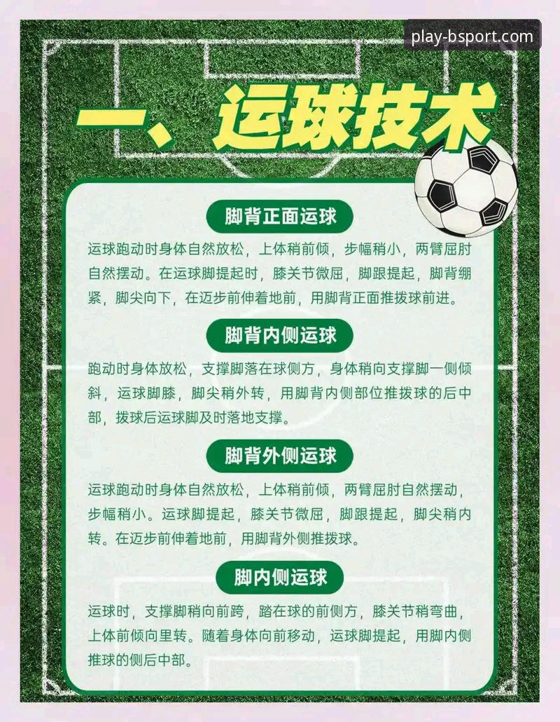 BSport体育官网手机版：深度解析与官方下载指南